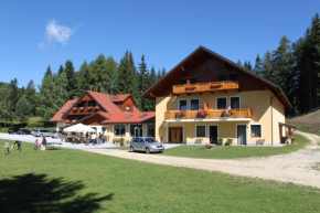 Гостиница Alpengasthaus Gießlhütte  Вольфсберг